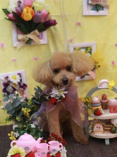 20230326のえるくん